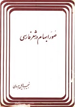 دانلود کتاب ” صور ابهام در شعر فارسی “