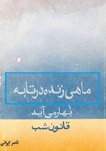 دانلود کتاب ”ماهی زنده در تابه“