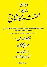 دیوانا مولانا محتشم کاشانی pdf