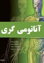 دانلود کتاب ”آناتومی گری“